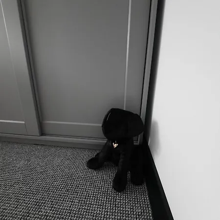 Gold&black Centrum * Oświęcim